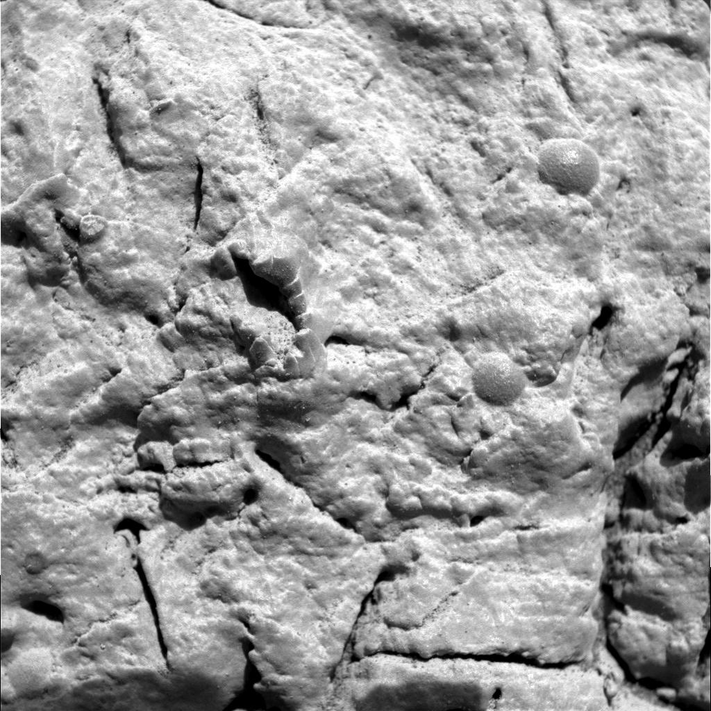 Mars fossils ?
