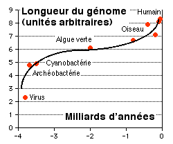 genome