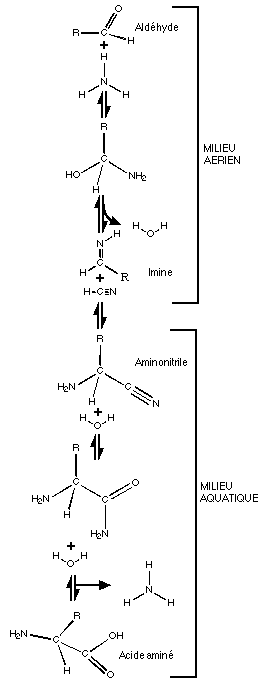 chimie1