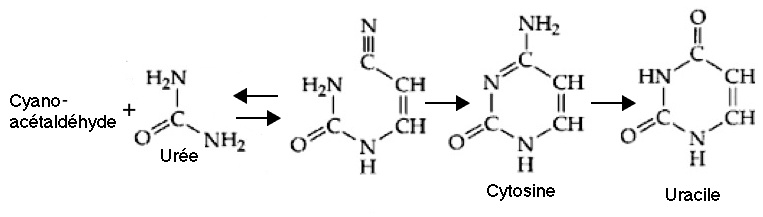 synthese pyrimidine