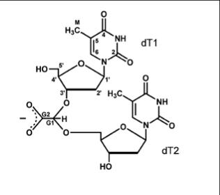 gadinucleotides